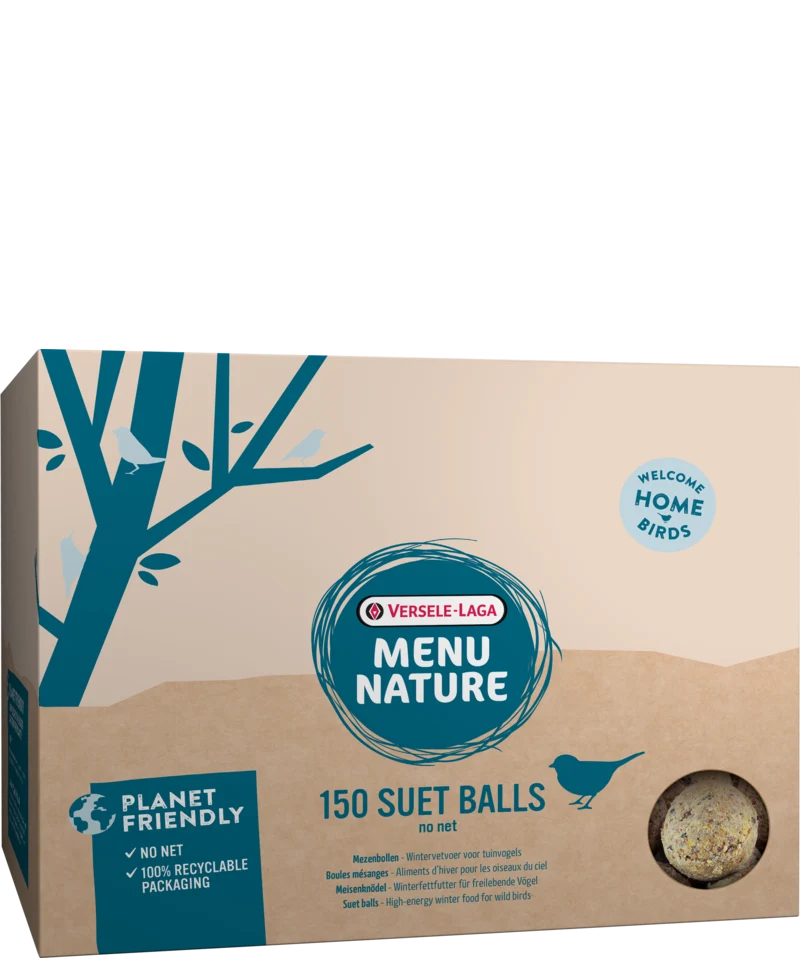 Boule mésanges - aliment d'hiver gras pour les oiseaux de la nature (sans filet, sans plastique, dans seau)