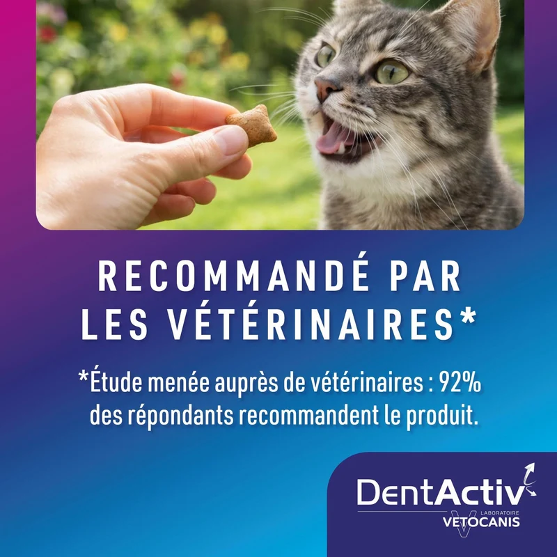 DentActiv Action Friandises Dentaires pour Chat
