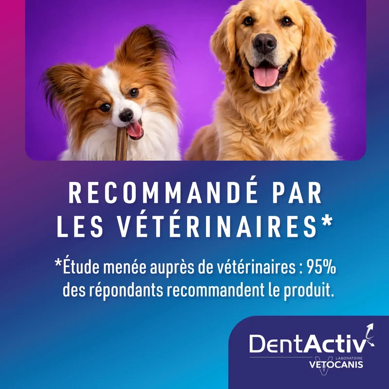 DentActiv Action 7 Sticks Dentaire Petit Chien