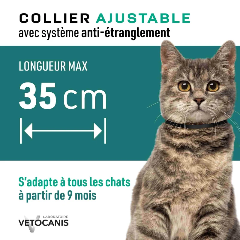 Collier Anti-Puces Anti-Tiques Répulsif pour Chat et Chaton