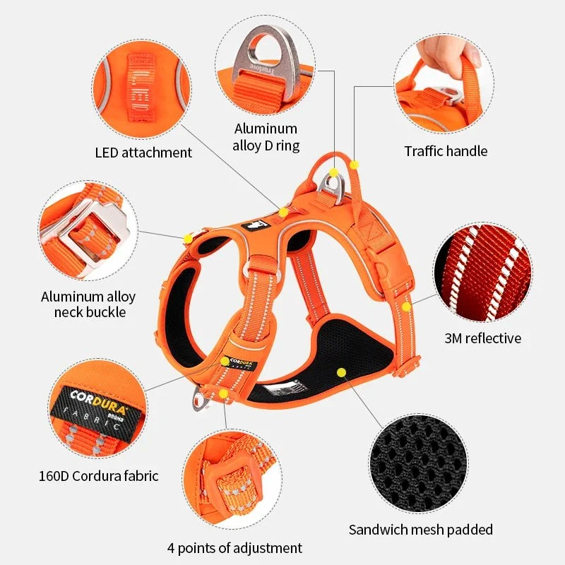Harnais pour petit chien 2 kg