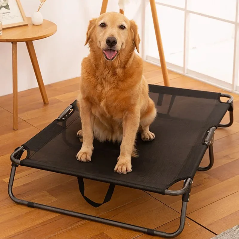Panier dur pour chien