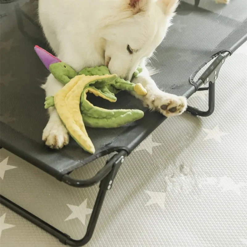 Panier dur pour chien