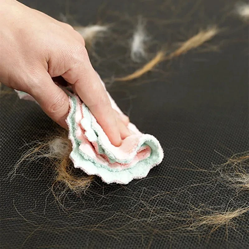 Panier dur pour chien