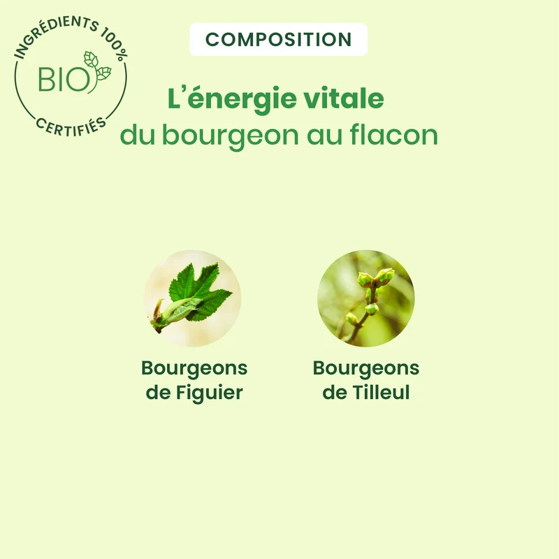 Noctigem spray - Bio