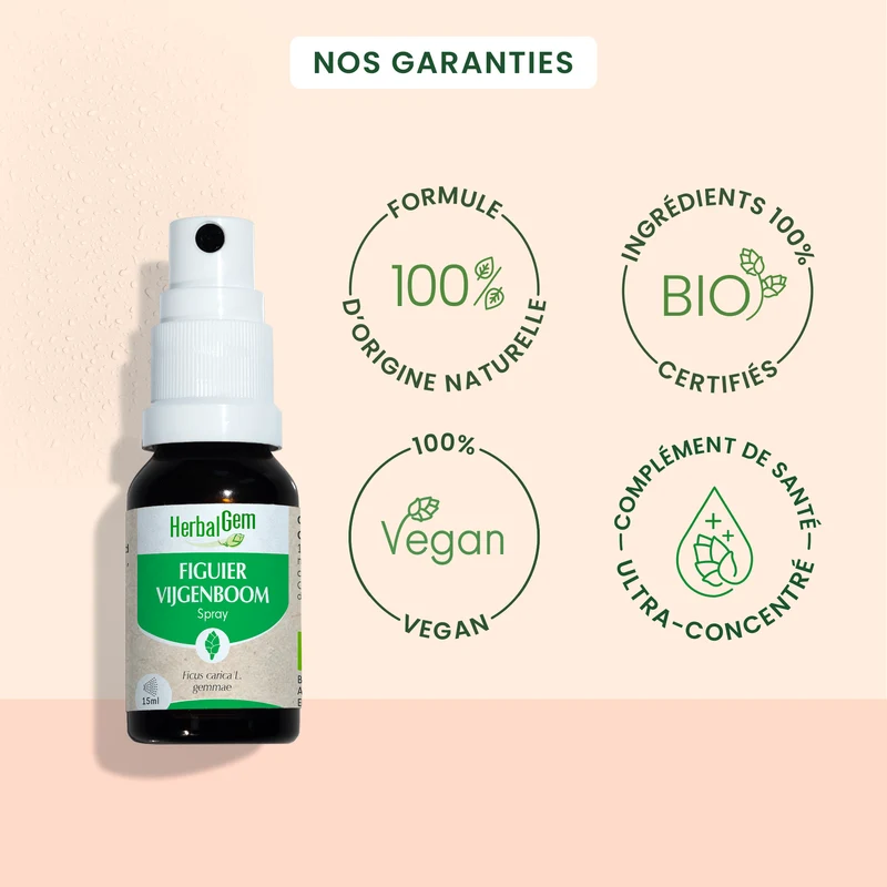 Bourgeon de Figuier - spray - Bio