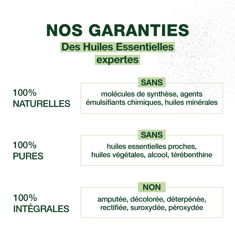 Spray assainissant Ravintsara - Tea-tree - Bio