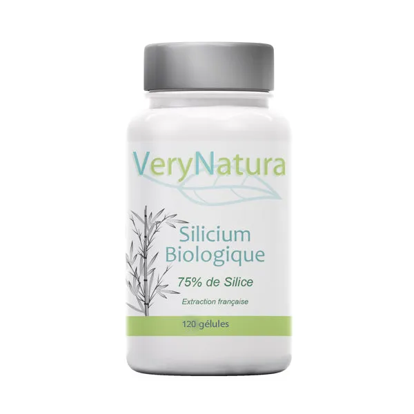 Silicium Bio (75% de Silice) : Os & Articulations