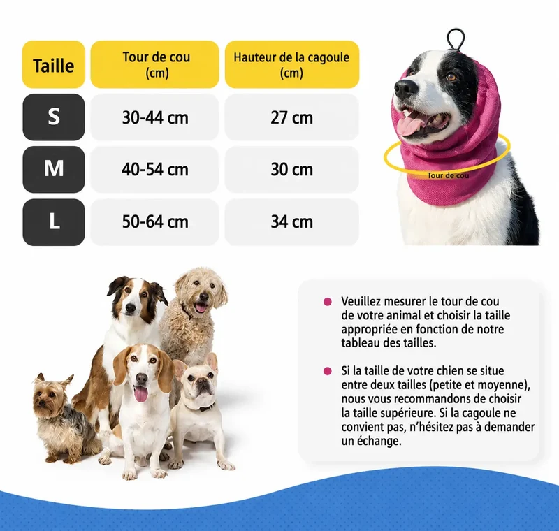 Snood quotidien pour cocker