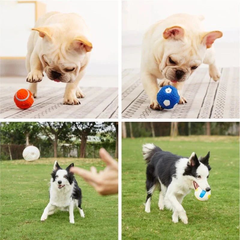 Jouet pouet pouet pour chien