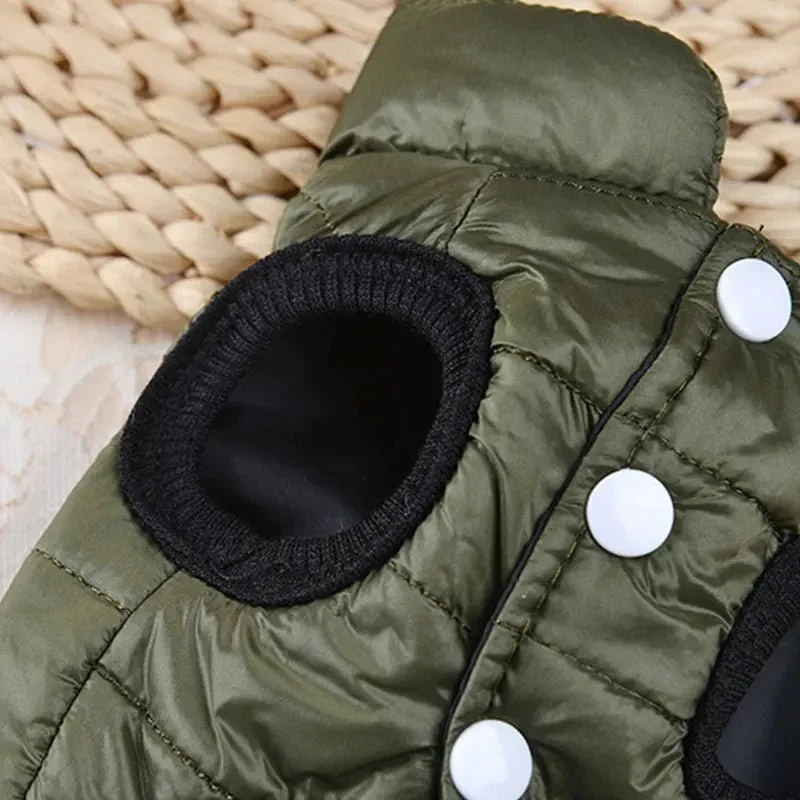 Manteau chihuahua xxs