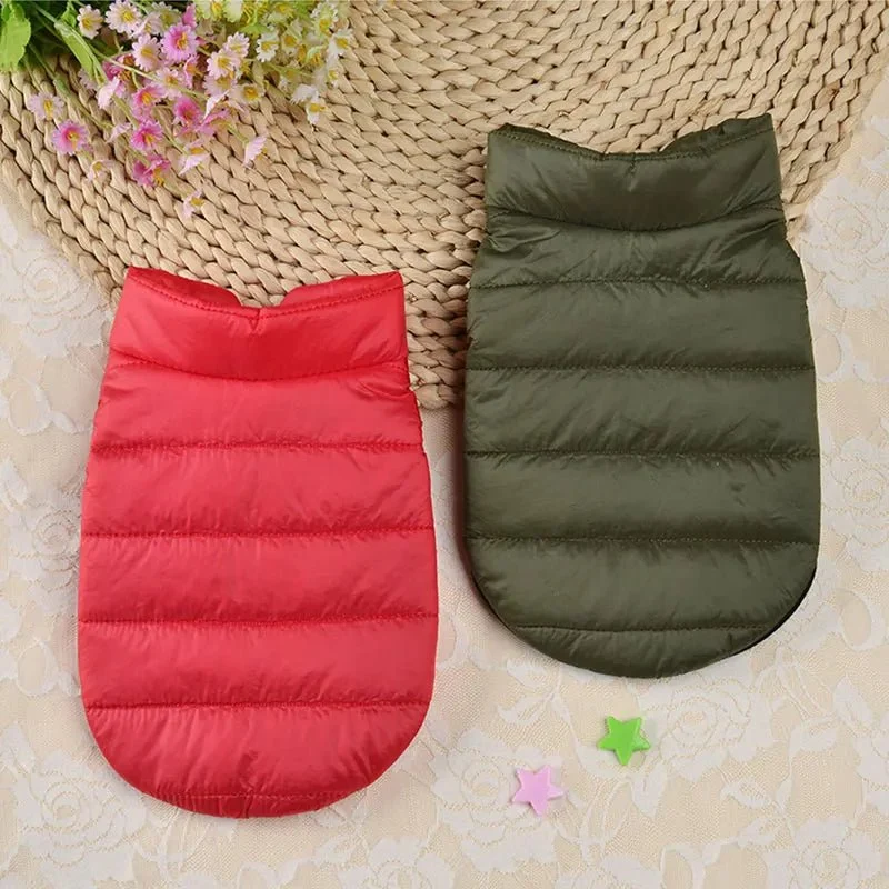 Manteau chihuahua xxs