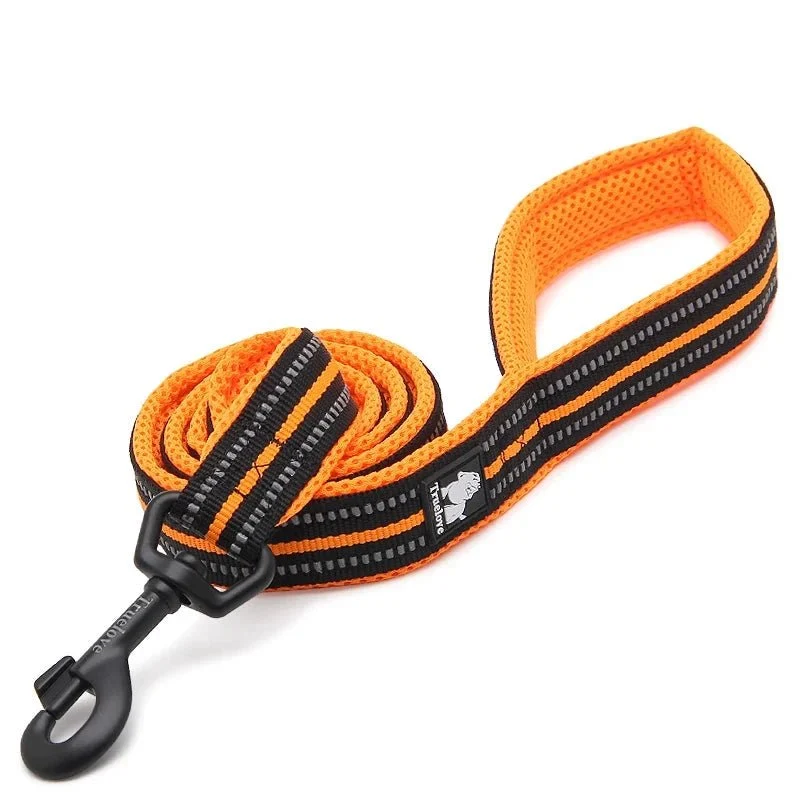 Laisse pour chiot malinois