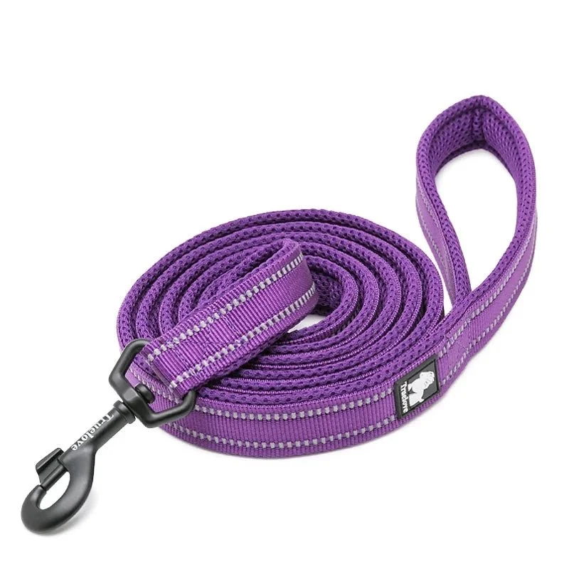 Laisse pour chiot malinois