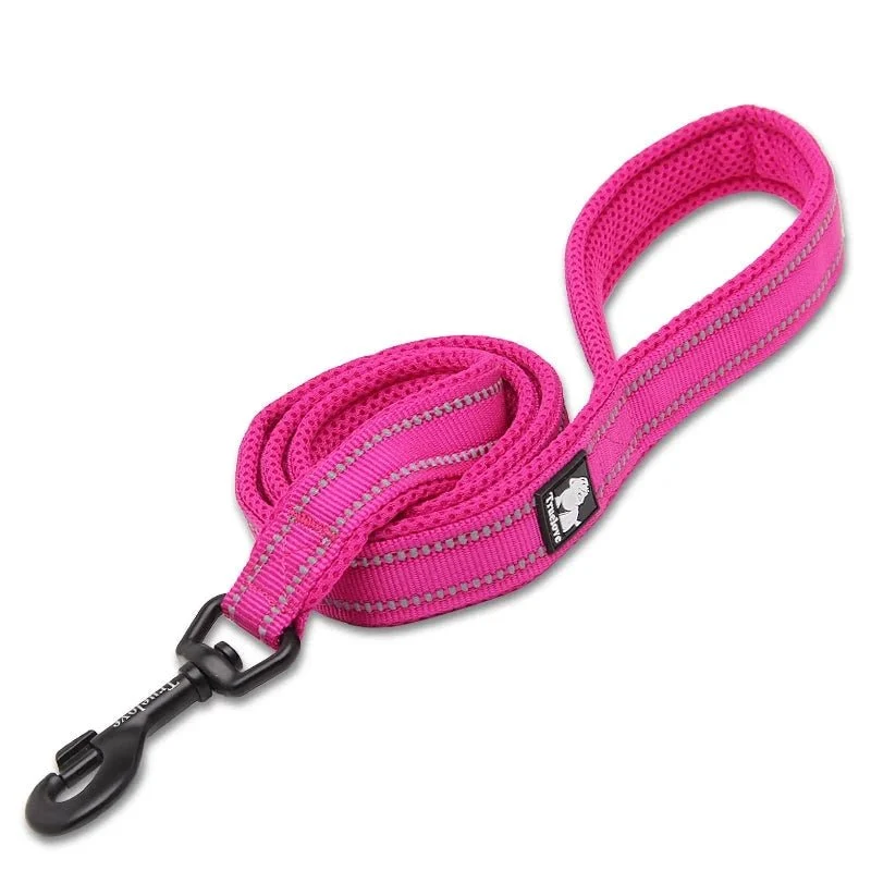 Laisse pour chiot malinois