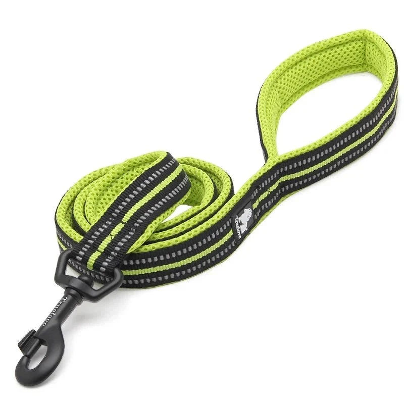 Laisse pour chiot malinois