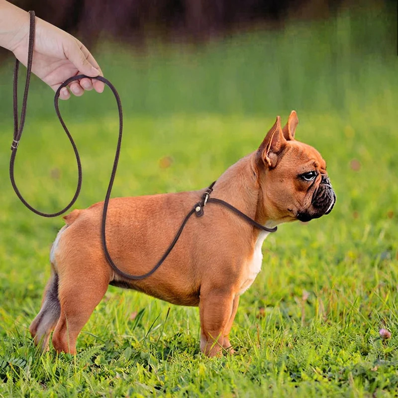 Laisse lasso cuir