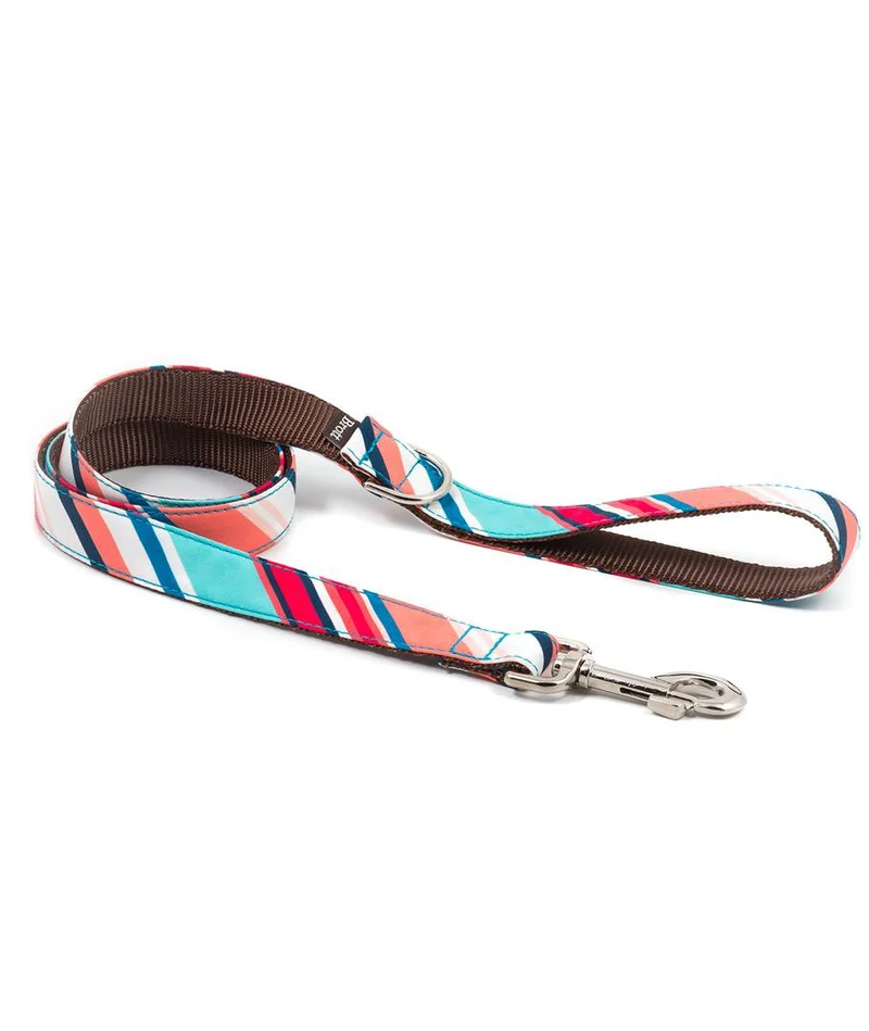 Collar para perro Morisca