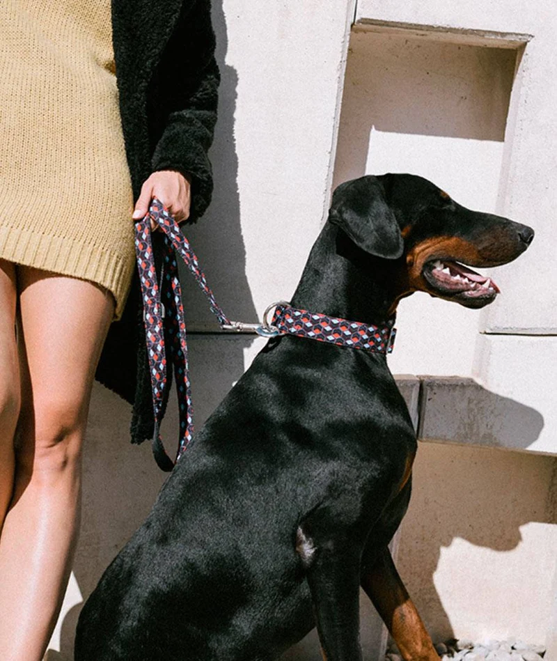 Collar para perro Queralbs
