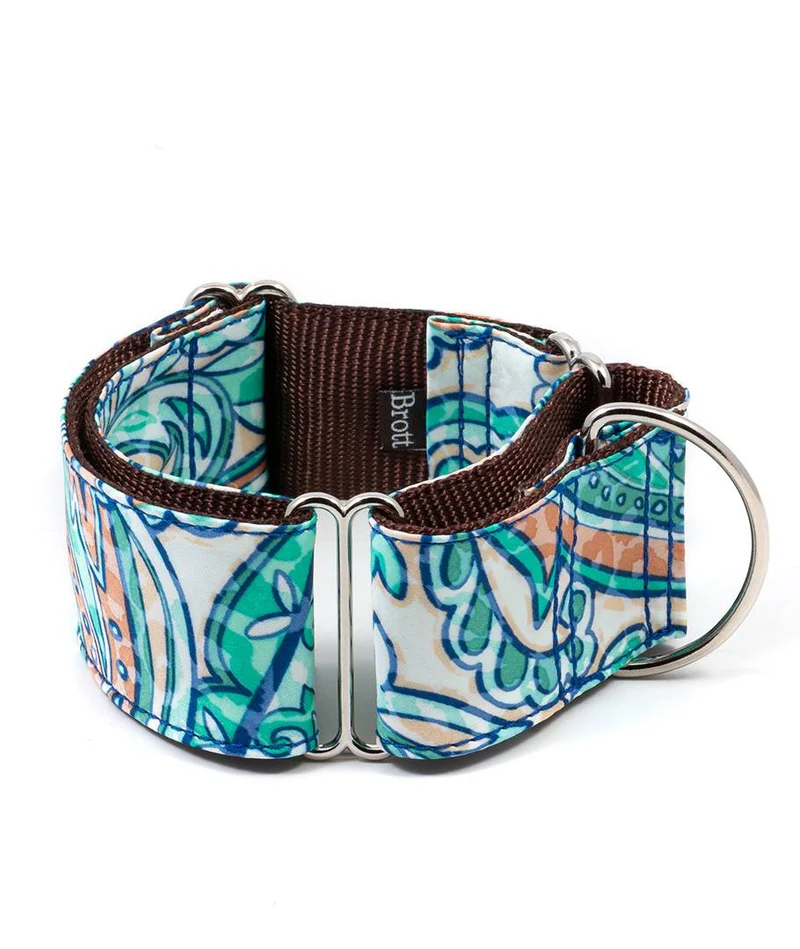Collar para perro Begur