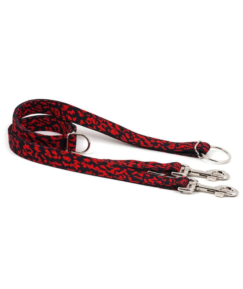 Collar para perro Conesa