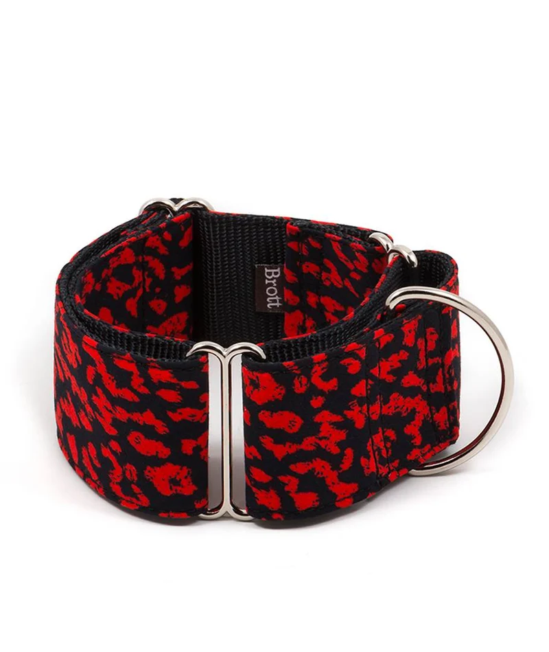 Collar para perro Conesa