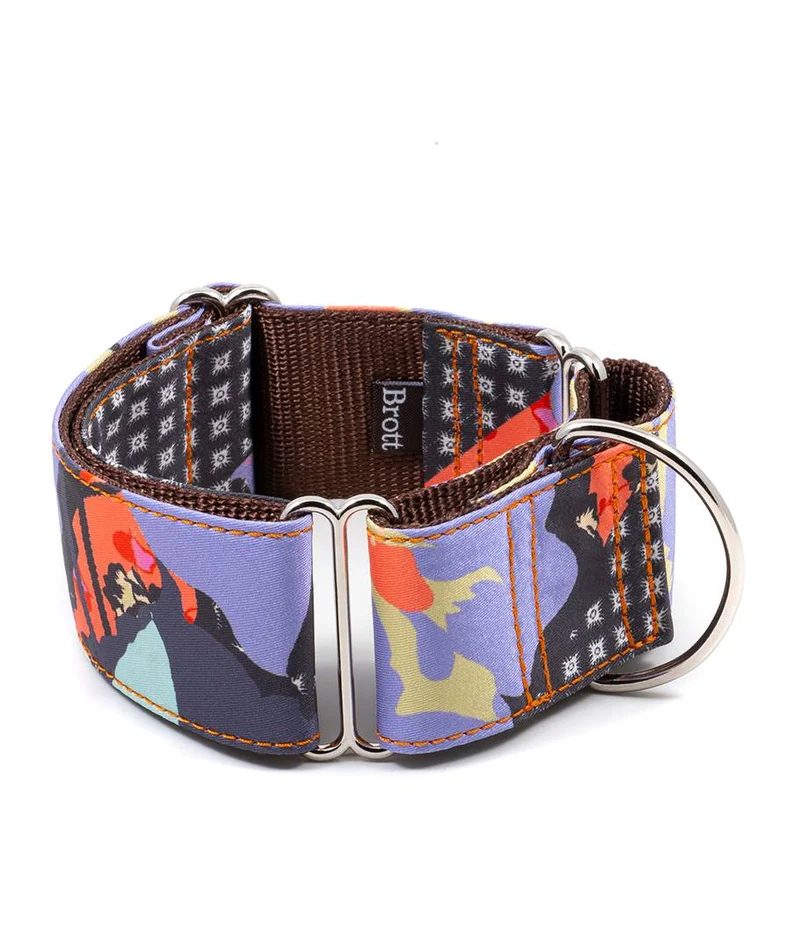 Collar para perro Siurana