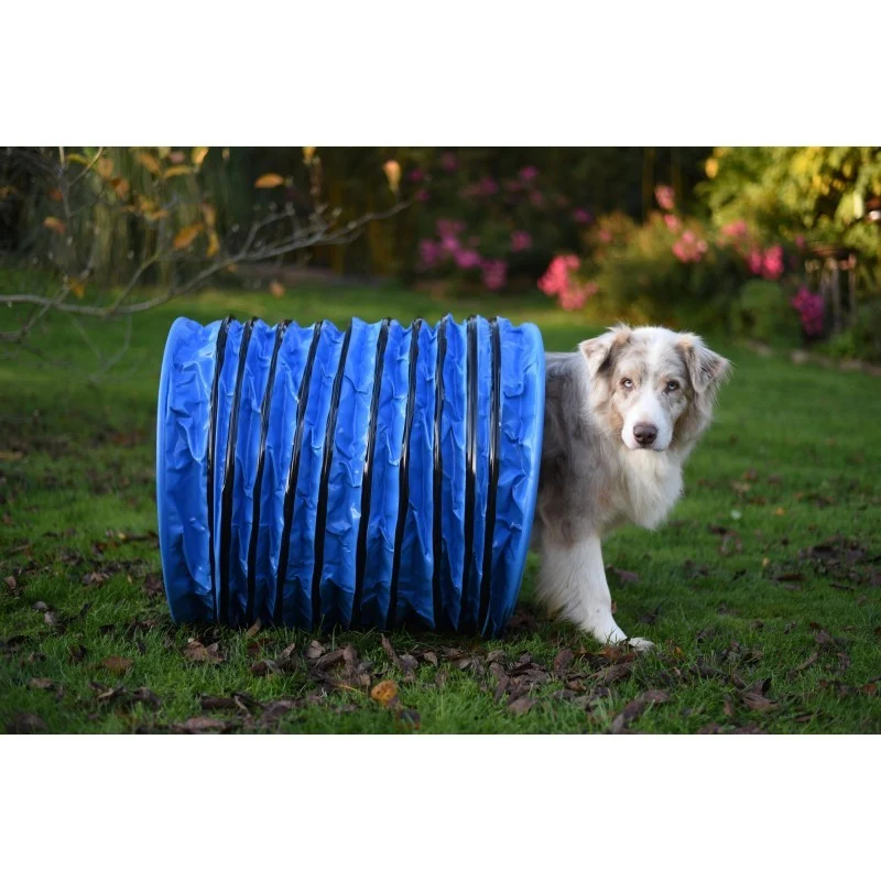 Pack compétition 1 agrès