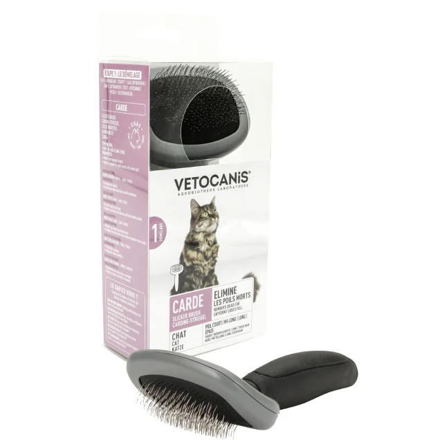 Brosse Carde pour Chat