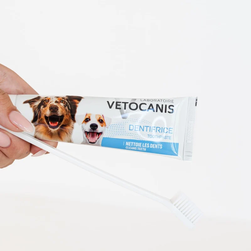 Brosse à dent pour chien