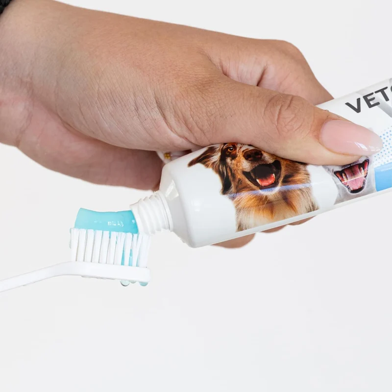 Brosse à dent pour chien