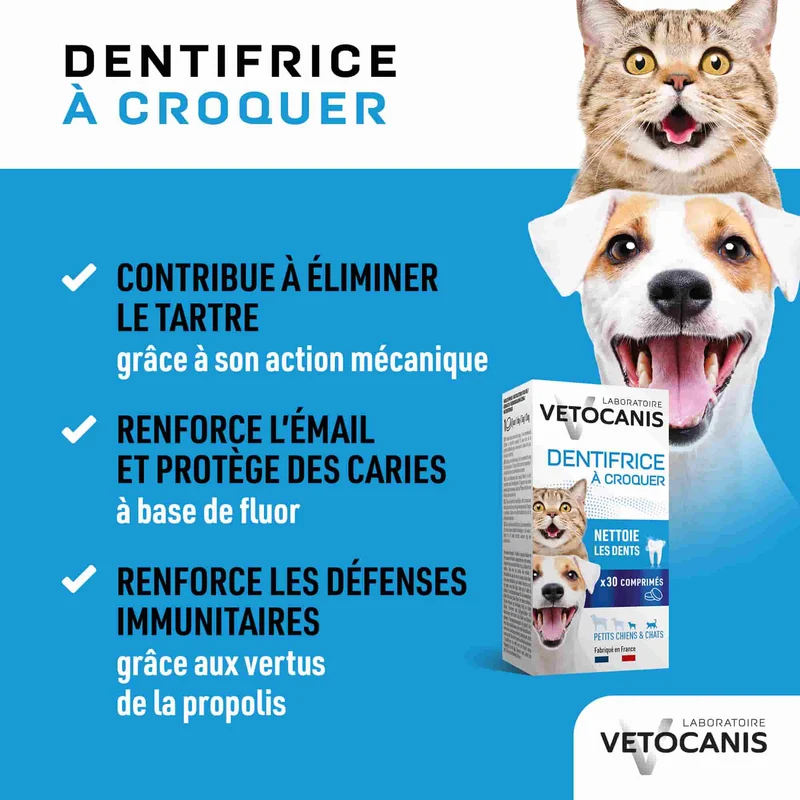 Dentifrice à croquer pour Chat et Petit Chien X30 Comprimés