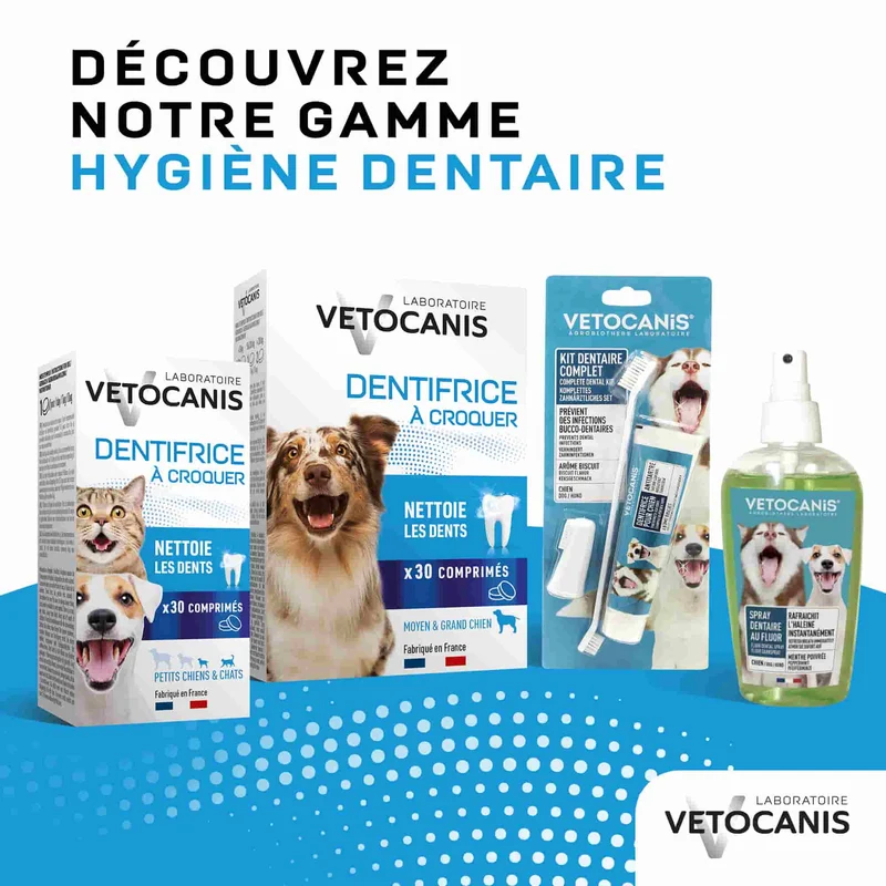 Dentifrice à croquer pour Chat et Petit Chien X30 Comprimés
