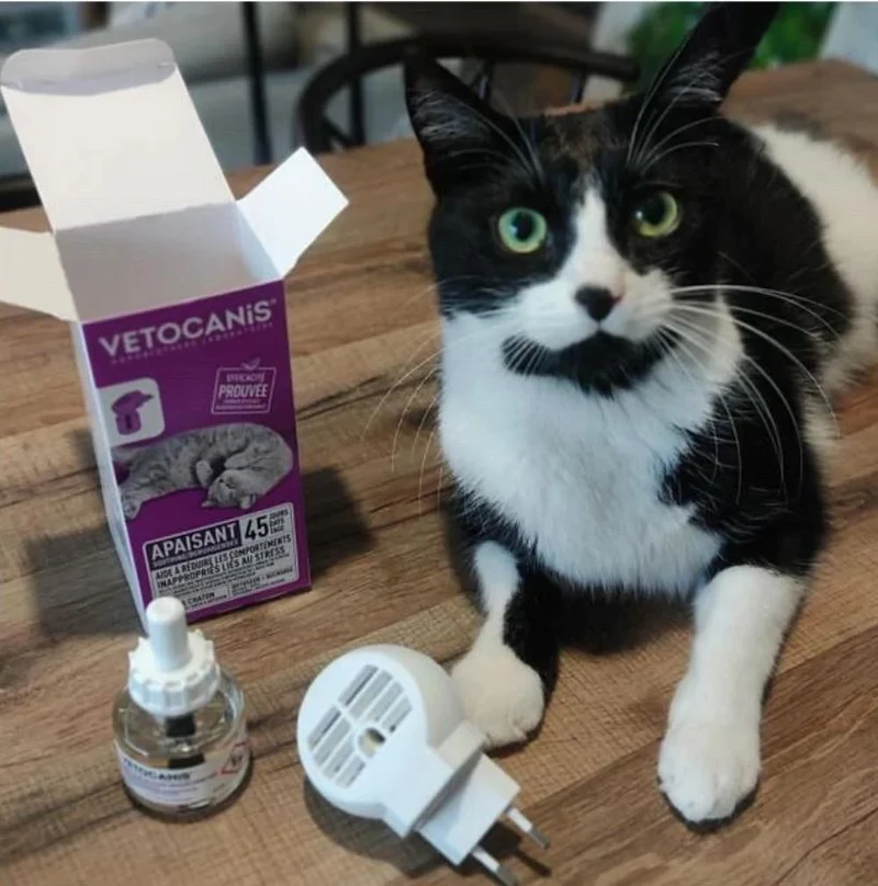 Diffuseur Apaisant Chat + Recharge 48ml (45 jours)