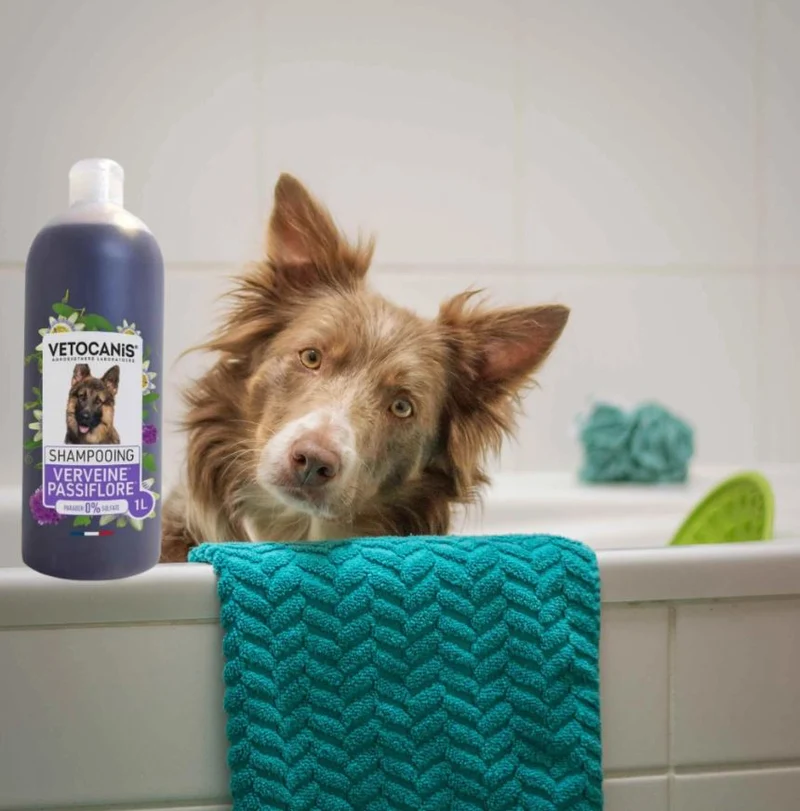 Shampoing pour Chien Verveine & Passiflore 1L