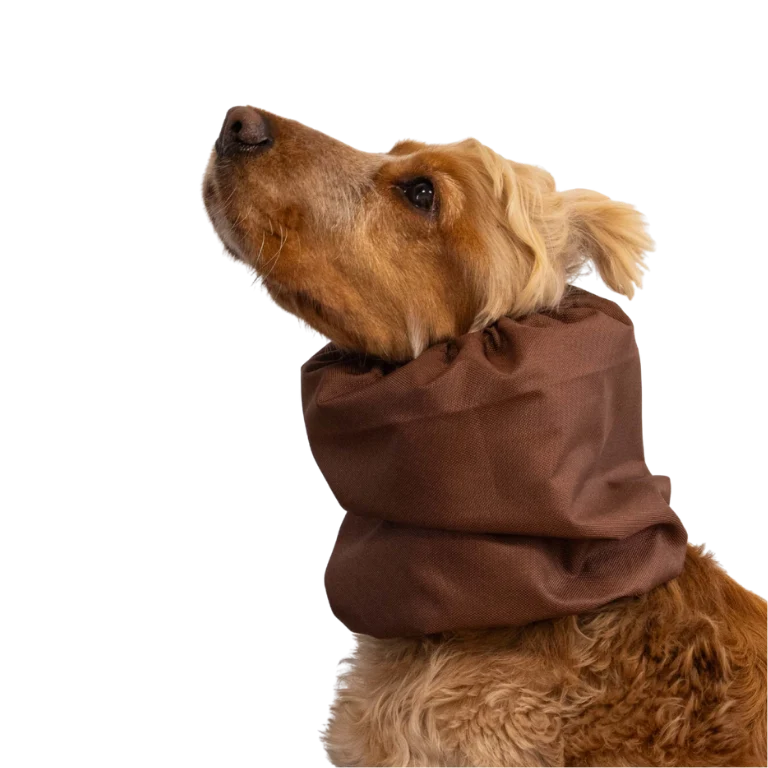 Snood Chocolat