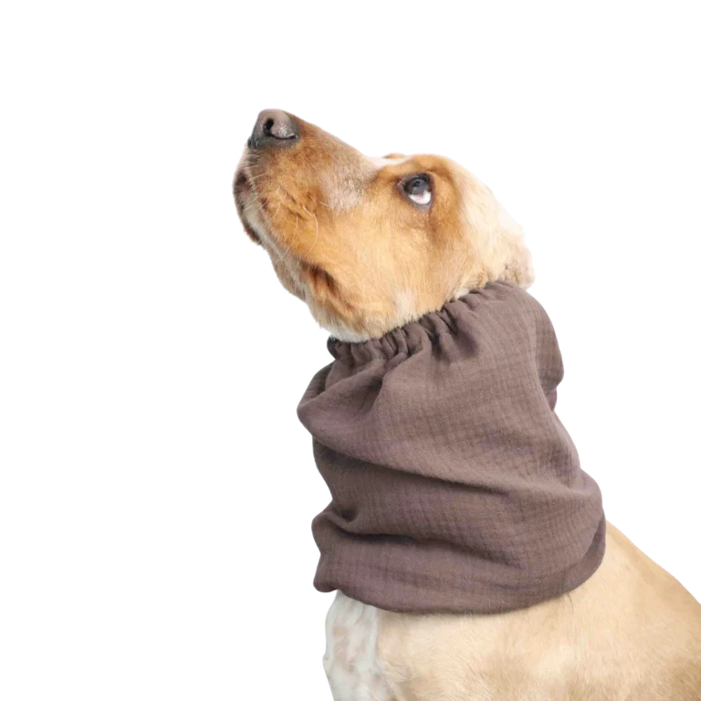 Snood Mousseline Choco
