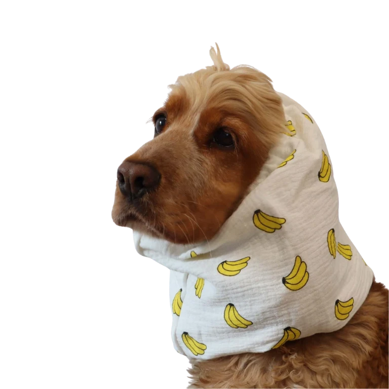 Snood Banane