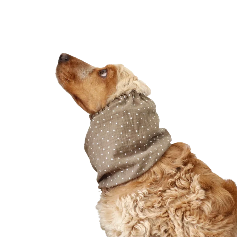 Snood Marron à pois