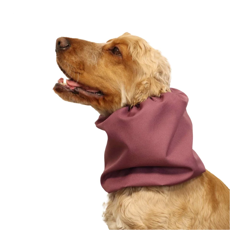 Snood Bordeau