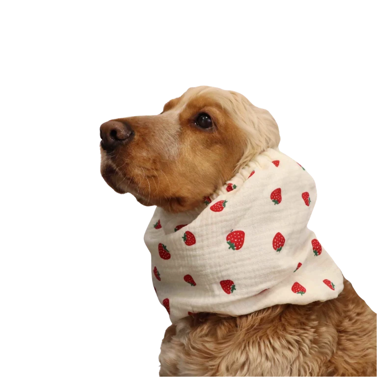Snood Fraise