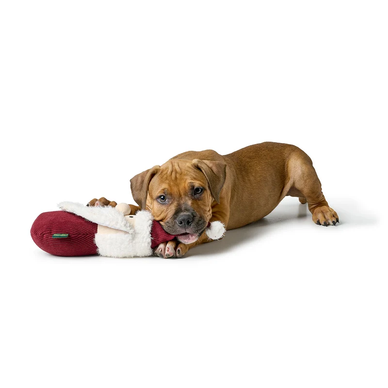 Hundespielzeug Sitka