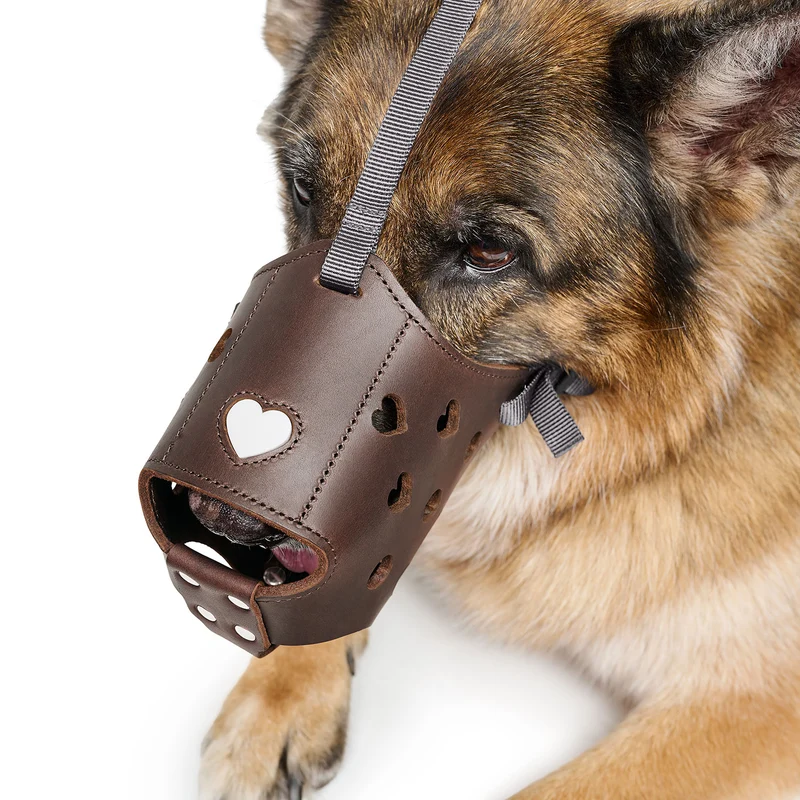 Maulkorb Love
