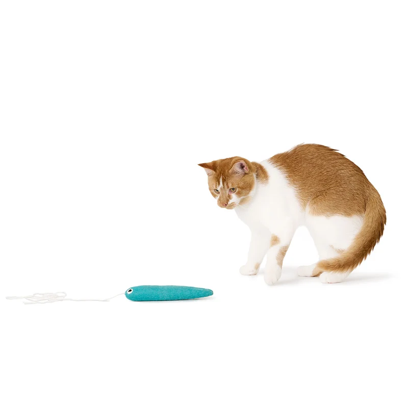Katzenspielzeug Toller Hecht mit Schnur