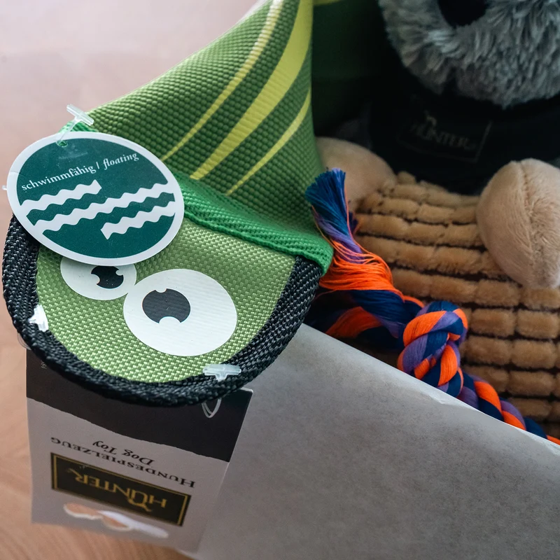 Spielzeugbox Hund