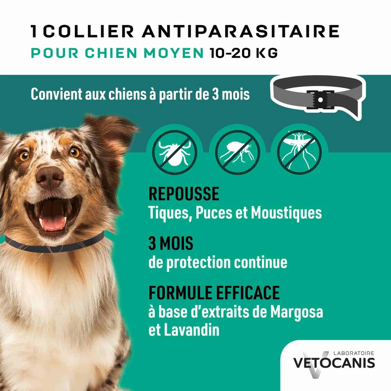 Collier Anti-Puces, Tiques et Moustiques Répulsif pour Chien