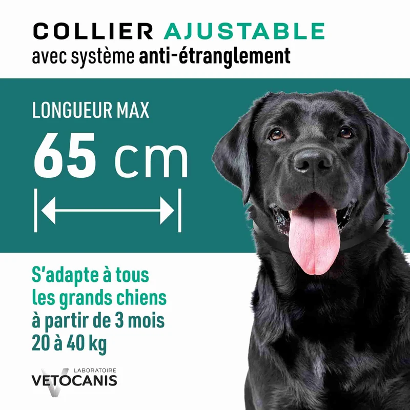 Collier Anti-Puces, Tiques et Moustiques Répulsif pour Chien