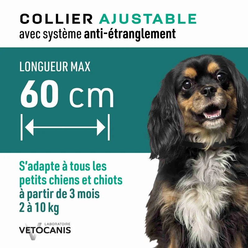 Collier Anti-Puces, Tiques et Moustiques Répulsif pour Chien