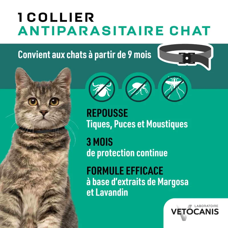 Collier Anti-Puces Anti-Tiques Répulsif pour Chat et Chaton