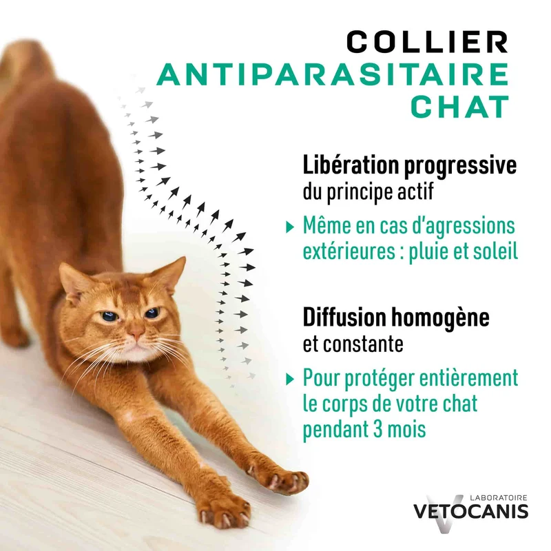 Collier Anti-Puces Anti-Tiques Répulsif pour Chat et Chaton